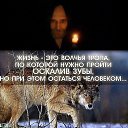 ���� �����, �������� - ��������� 22 �������� 2014 � ������ ������ ��������