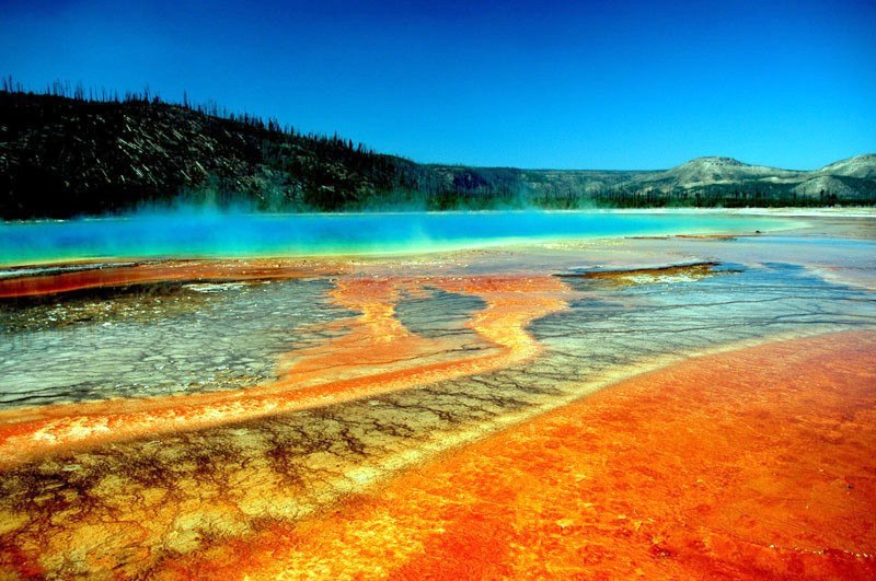 Yellowstone National Park - 6