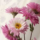 ���� ���������, ����� - ��������� 20 ������� 2014 � ������ ���� ����������