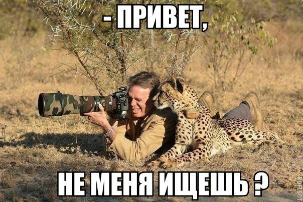 ����� ������� - 5 ������ 2014 � 10:50 - 3