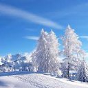 ���� ������, �����-���������, 45 ��� - ��������� 5 ������� 2014 � ������ ���� ����������