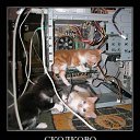 ���� O.l., �����, 59 ��� - ��������� 7 ������� 2014 � ������ �������