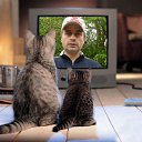 ���� A�����, ʸ��� - ��������� 24 ������� 2014 � ������ ���� ����������