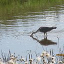 ���� ����������, ������, 58 ��� - ��������� 25 ������� 2014 � ������ ���� �����