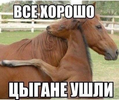    :-) - 28  2014  11:08