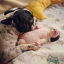 ���� ]{() � � -�]{ @, ������-��-���� - ��������� 1 ������ 2014 � ������ ������ ��������