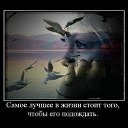 ���� �������, ����, 78 ��� - ��������� 5 ������ 2014 � ������ ������ ��������