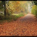 ���� ������, ������ ��������, 56 ��� - ��������� 28 �������� 2014 � ������ �������