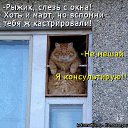���� ������, ����� - ��������� 18 ������ 2014 � ������ ������ ��������