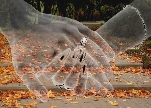 Когда не хочешь, то имеешь...имеешь это, не ценя... Когда теряешь, понимаешь - без этого уже ...