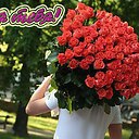 ���� ���, ������� - ��������� 10 ������� 2014 � ������ �������� ��� ��� �������
