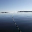 ���� �������, ������������ - ��������� 10 �������� 2014 � ������ �������� �������.�