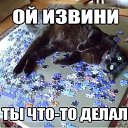 ���� �������, ������, 59 ��� - ��������� 29 �������� 2014 � ������ ������ ��������
