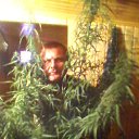 ���� ������, ��������, 47 ��� - ��������� 25 ������ 2014 � ������ ���� ����������