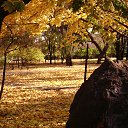 ���� ����, ���� - ��������� 22 �������� 2014 � ������ ������ � ���� ������.�