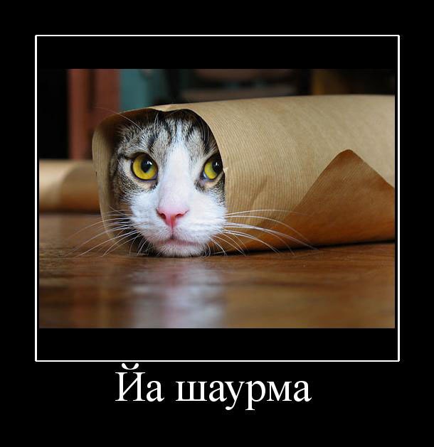 Подпишитесь, если понравилось!!! <a href=