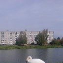 ���� ������, ���������, 46 ��� - ��������� 8 ������ 2014 � ������ ������ ��������