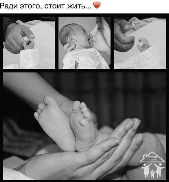 ��� ����� - ��� ��������� - 15 �������� 2014 � 15:03