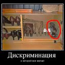 ���� ������, �������, 56 ��� - ��������� 25 ������� 2014 � ������ ���� ����������