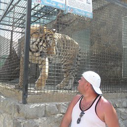 ������, ������, 53 ����