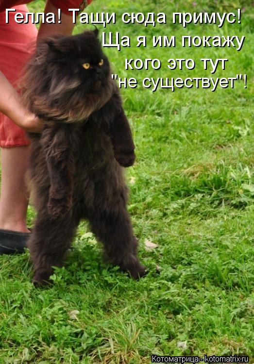 Marina - 6  2014  07:51