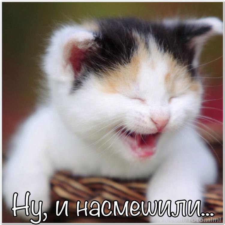 .    . - ,  ? -   ? - ,    ,   ...