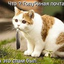 ���� ��������, ����������, 76 ��� - ��������� 2 �������� 2014