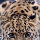 ���� �������, ������, 68 ��� - ��������� 20 ������� 2014 � ������ ���� ����������