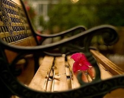   - 17  2014  11:22 - 3