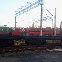 ���� �����, �����-��������� - ��������� 29 ������� 2014 � ������ ������ ��������