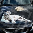 ���� �������, ���������� - ��������� 21 ������ 2014 � ������ ������������