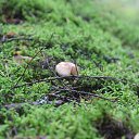 ���� �����, �����-��������� - ��������� 28 ������� 2014 � ������ �������� ����� 2014�