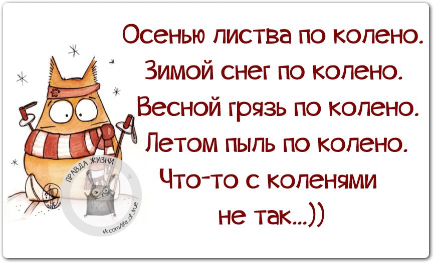 В чем прикол ноября. Шутки про ноябрь. Смешные высказывания про ноябрь. Афоризмы про ноябрь. Смешные фразы про ноябрь.