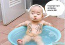 ���� �����, �����-���������, 50 ��� - ��������� 6 ������� 2014 � ������ ���� ����������