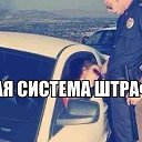 ���� �����, �������, 43 ���� - ��������� 13 �������� 2014 � ������ ���� ���� ������