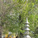 ���� �������, ���� - ��������� 29 �������� 2014 � ������ ���� ����������