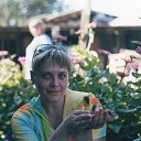 ���� �����, ������������, 51 ��� - ��������� 23 ������ 2014 � ������ ���� ����������