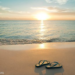 Leka, �����������, 51 ���