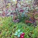  , -, 41  -  21  2014    