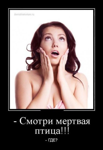  - 25  2014  19:37