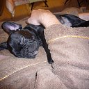 �� ������! �� ���������! ��� ������ �������� ������... �� ������� ���� ����������