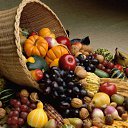  Igor, , 51  -  14  2014    