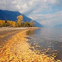 ���� �����, ����� - ��������� 16 ������� 2014 � ������ ������