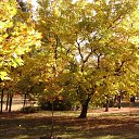 ���� ����, ���� - ��������� 22 �������� 2014 � ������ ������ � ���� ������.�