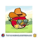 ���� ����, �������, 24 ���� - ��������� 10 ������ 2014