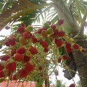 ���� ������, ����������, 69 ��� - ��������� 19 ������� 2014 � ������ ����� ������ � ������ (�������)�