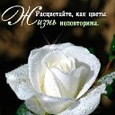 ���� Kostya.grinckin, ������������, 53 ���� - ��������� 19 �������� 2014 � ������ ������ ��������