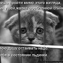 ���� ����������, ������, 49 ��� - ��������� 5 ������� 2014 � ������ ������ ��������