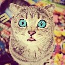 ���� ��������, �����, 25 ��� - ��������� 5 ������� 2014 � ������ ���� ����������