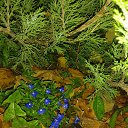 ���� Anna, �������, 65 ��� - ��������� 22 ������� 2014 � ������ ���� �����